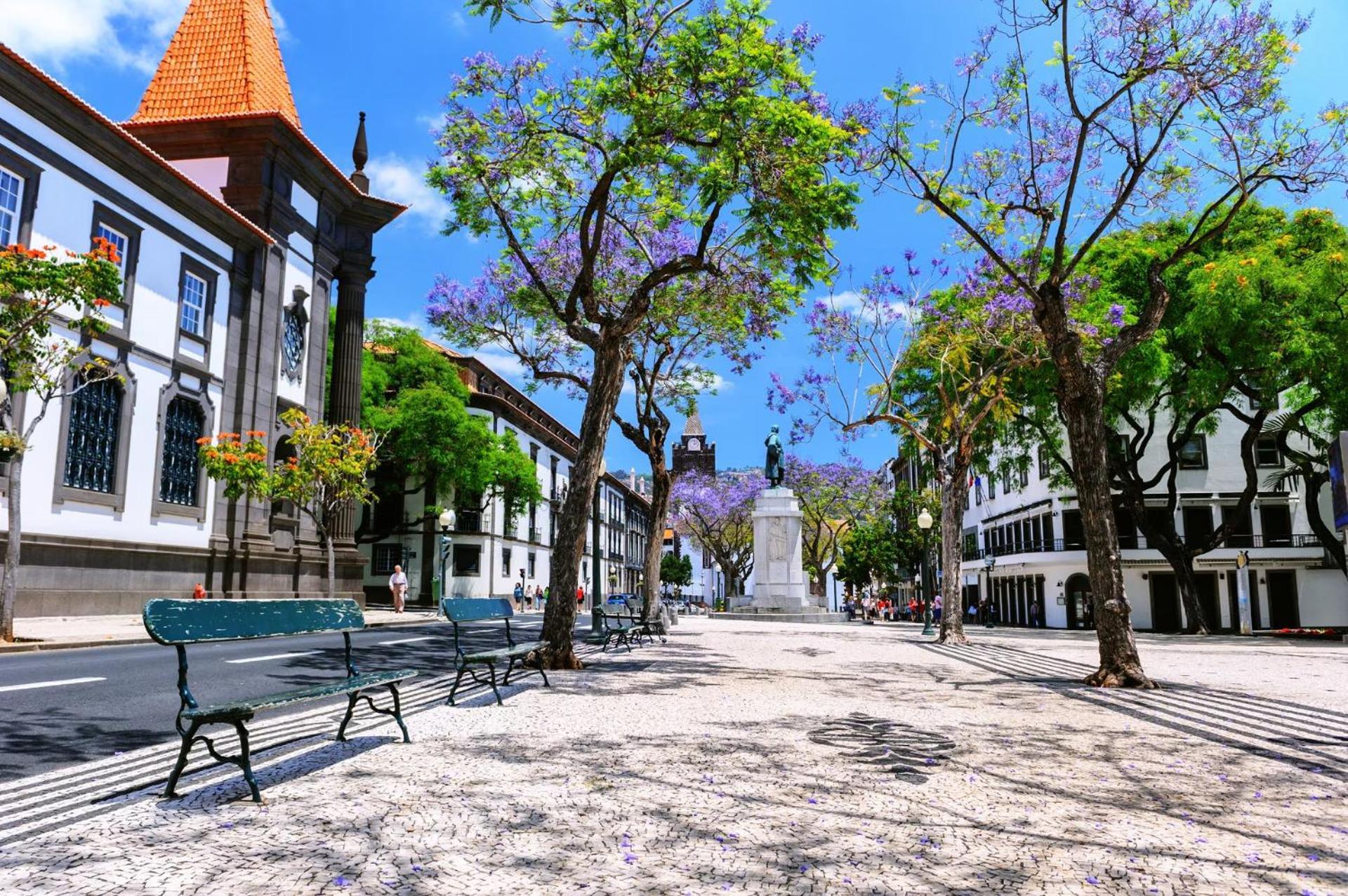 Stylish Apartment With Balcony And Amazing Views Over Funchal And The Sea Eksteriør billede